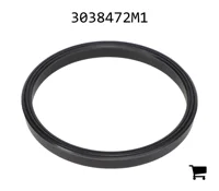 AGCO 3038472M1 Уплотнение