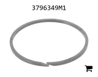 AGCO 3796349M1 Сегмент