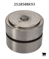 AGCO 2528508K93 Поршень