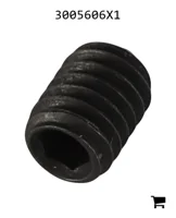 AGCO 3005606X1 Установочный винт с шестигранной головкой