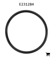 AGCO E231284 Уплотнительное кольцо