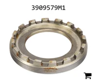 AGCO 3909579M1 Корончатая гайка