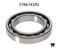 AGCO 3706741M1 Шариковый подшипник