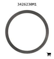 AGCO 3426230M1 Шайба