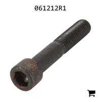 AGCO 061212R1 Болт