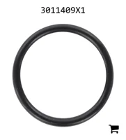 AGCO 3011409X1 Уплотнительное кольцо