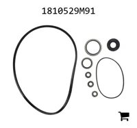 AGCO 1810529M91 Комплект уплотнений