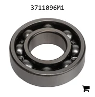 AGCO 3711096M1 Шариковый подшипник