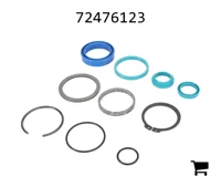 AGCO 72476123 Ремкомплект цилиндра