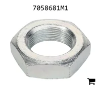 AGCO 7058681M1 Контргайка