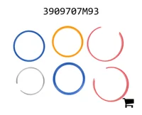 AGCO 3909707M93 Комплект уплотнений