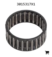 AGCO 3015317X1 Игольчатый подшипник