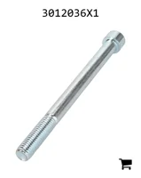 AGCO 3012036X1 Винт с цилиндрической головкой и шестигранным углублением