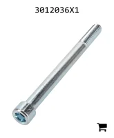 AGCO 3012036X1 Винт с цилиндрической головкой и шестигранным углублением