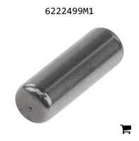 AGCO 6222499M1 Ролик