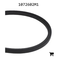 AGCO 1072602M1 Клиновой ремень, профиль B, длиной 172,9"