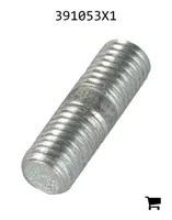 AGCO 391053X1 Болт