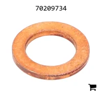 AGCO 70209734 Шайба