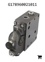 AGCO G178960021011 Клапан