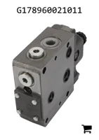 AGCO G178960021011 Клапан