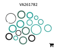 AGCO VA261782 Комплект уплотнительных колец