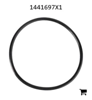 AGCO 1441697X1 Уплотнительное кольцо
