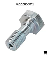 AGCO 4222859M1 Болт банджо