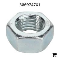 AGCO 3009747X1 Шестигранная гайка