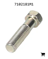 AGCO 7102181M1 Болт