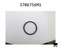 AGCO 3706756M1 Кольцо