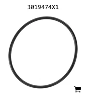 AGCO 3019474X1 Уплотнительное кольцо