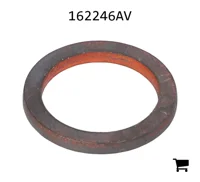 AGCO 162246AV Шайба