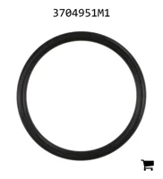 AGCO 3704951M1 Уплотнительное кольцо