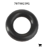 AGCO 7079023M1 Уплотнительное кольцо