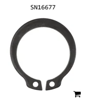 AGCO SN16677 Стопорное кольцо