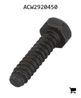 AGCO ACW2920450 Винт самонарезающий с шестигранной головкой