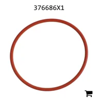 AGCO 376686X1 Кольцо