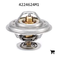 AGCO 4224624M1 Термостат