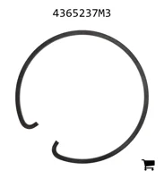 AGCO 4365237M3 Кольцо
