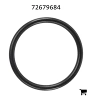 AGCO 72679684 Уплотнительное кольцо