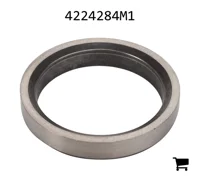 AGCO 4224284M1 Вставка