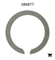 AGCO 106877 Кольцо