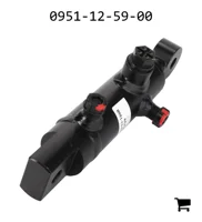 AGCO 0951-12-59-00 Гидроцилиндр