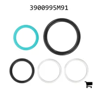 AGCO 3900995M91 Комплект уплотнений обратного клапана