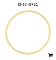 AGCO CH6J-5731 Опорное кольцо