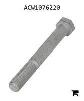 AGCO ACW1076220 Болт с шестигранной головкой