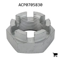 AGCO ACP0705830 Корончатая гайка