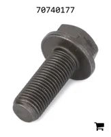 AGCO 70740177 Болт