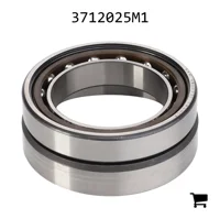 AGCO 3712025M1 Ограничитель