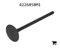 AGCO 4226858M1 Выпускной клапан